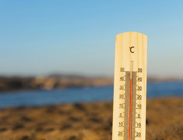 Day temperature touches the season's highest - Pune