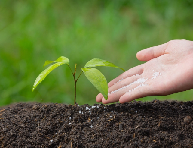 India Plans New Urea Investment Policy to Bridge 100 LMT Supply Gap