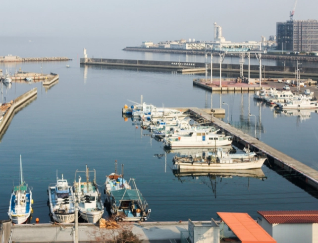 Japanese Delegation Explores Shipbuilding Opportunities at Kandla Port