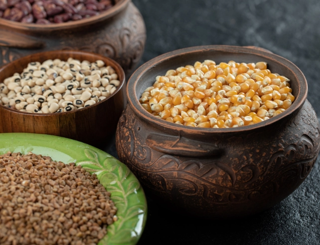 India Records Highest-Ever Foodgrain Output at 376.56 MT