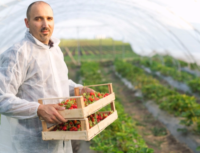 APEDA Completes BHARATI Cohort to Boost Agri-Food Export Innovation