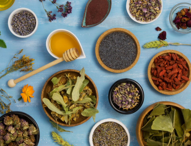 India Participates in WHO Meeting on Global Herbal Medicine Standards