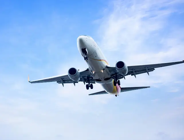 IndiGo celebrates 20 years of operations with over 430 aircraft and plans to expand to 550-plus aircraft and 3,000 daily flights by 2030.